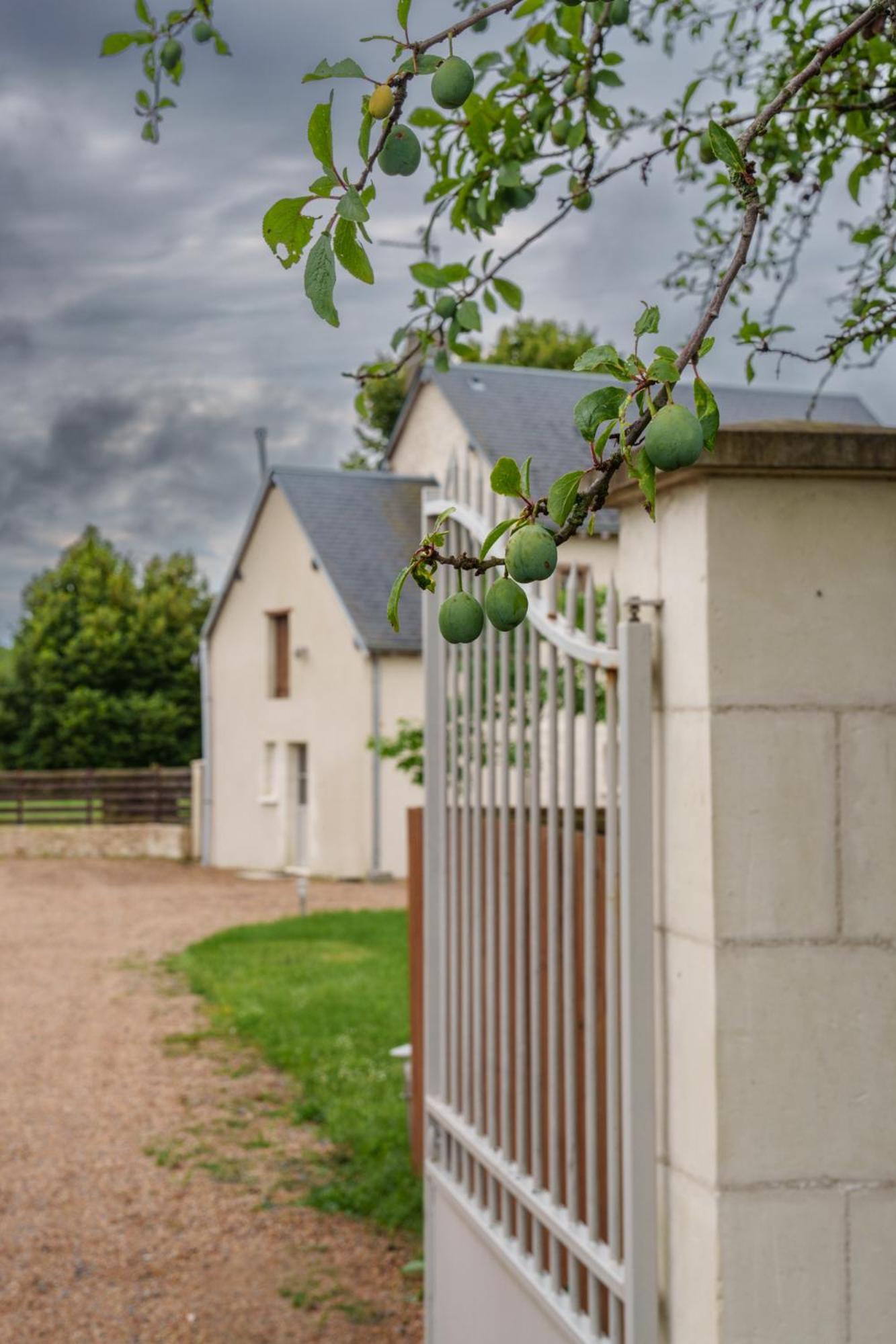 Maison Campagne Proche Tours Et Loches 6 Personnes Saint-Branchs Ngoại thất bức ảnh