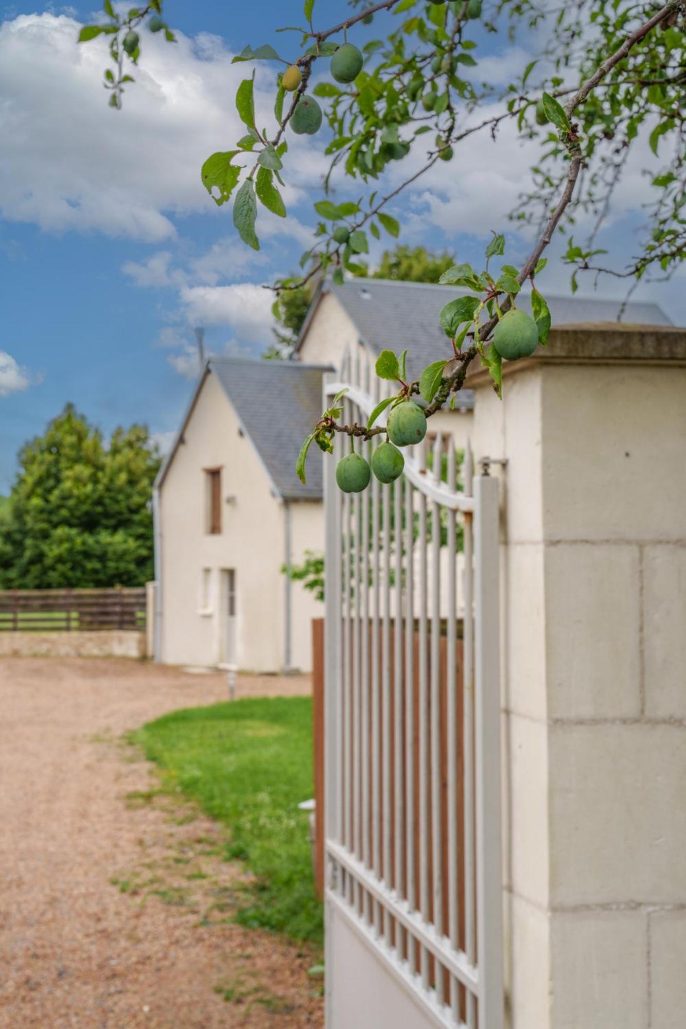 Maison Campagne Proche Tours Et Loches 6 Personnes Saint-Branchs Ngoại thất bức ảnh